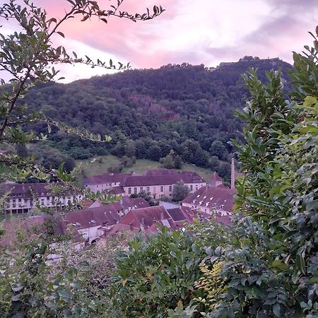 Le Coeur De Sel Apartment Salins-les-Bains Luaran gambar